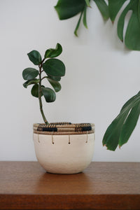 Everhope Collective Planter