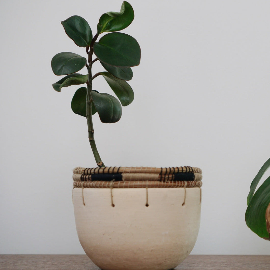 Everhope Collective Planter
