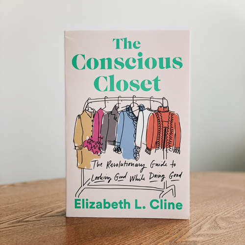 The Conscious Closet, by: Elizabeth Cline