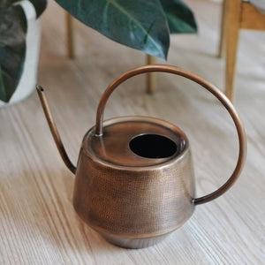 Iron Watering Can