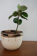 Everhope Collective Planter