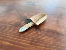 Wild Olive Wood Scoop