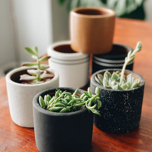 Small Ceramic Planter