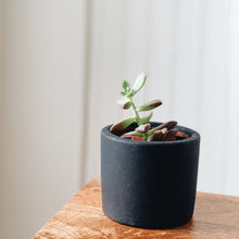 Small Ceramic Planter