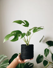 Raffia Planters Trio