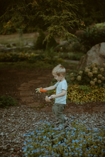 Friendly Carrot Rattle